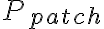 P_{patch}