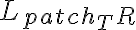 L_{patch_TR}