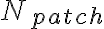 N_{patch}