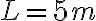 L = 5 m