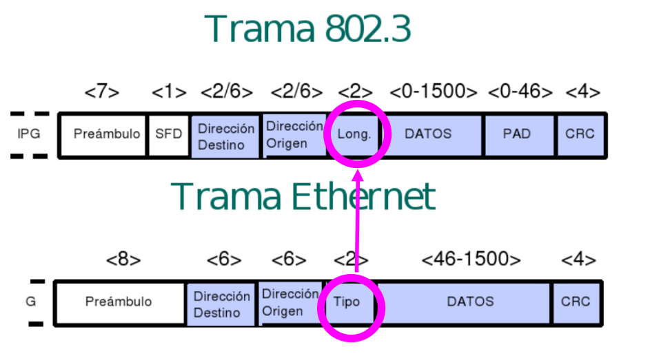 Redes de Área Local 2024 v1 | 802.3 vs Ethernet | Aula Virtual