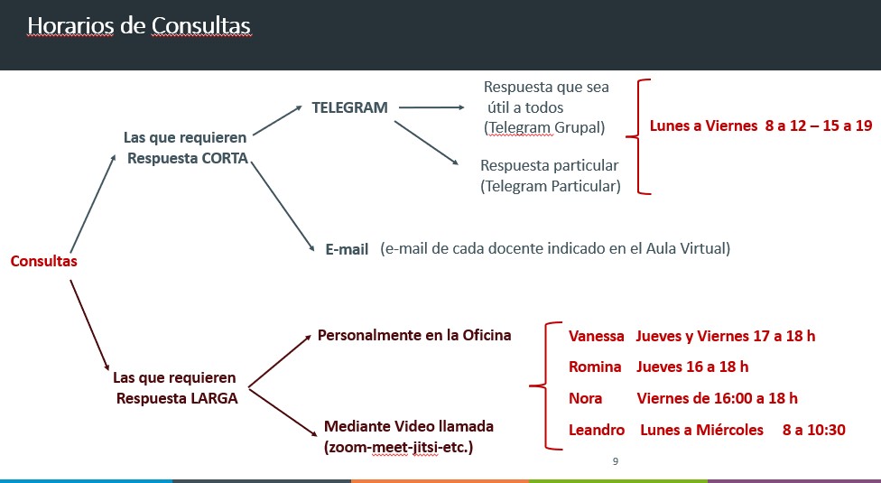 Horarios de Consultas - 2025