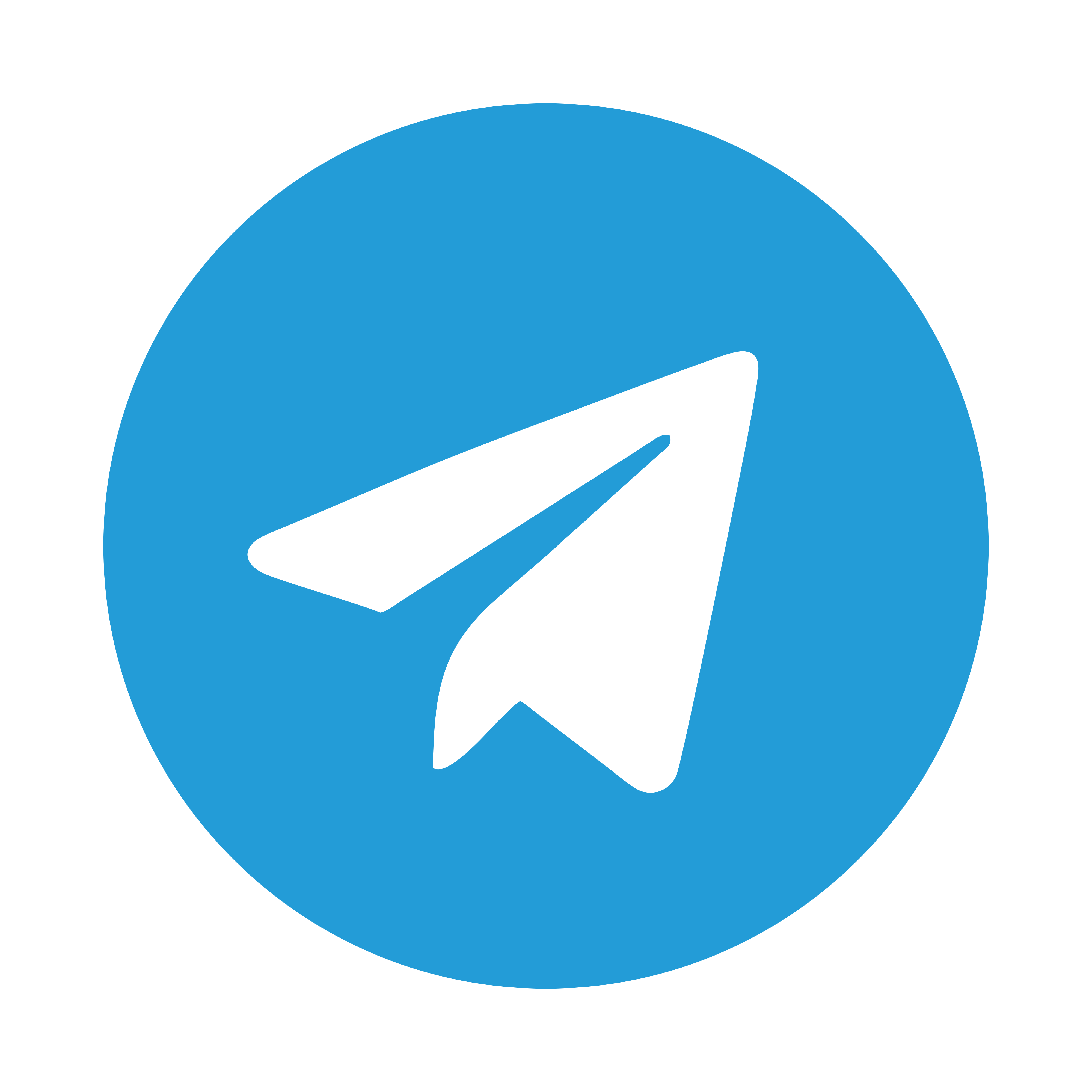 icono telegram