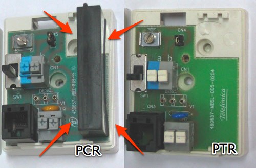 PCR PTR