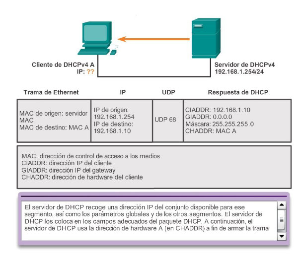 IPv4: DHCP | Aula Virtual